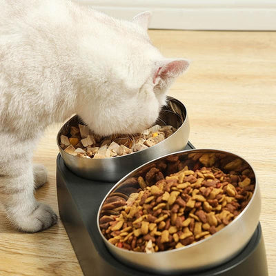 Leos paw Anti-Vomiting Stainless Steel Cat Bowl