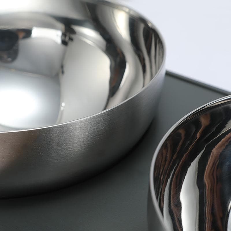 Leos paw Anti-Vomiting Stainless Steel Cat Bowl