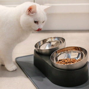 Leos paw Anti-Vomiting Stainless Steel Cat Bowl (New release)