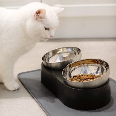 Leos paw Anti-Vomiting Stainless Steel Cat Feeding BUNDLE
