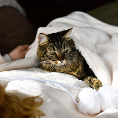 Leos paw Blanket Cat Hoodie