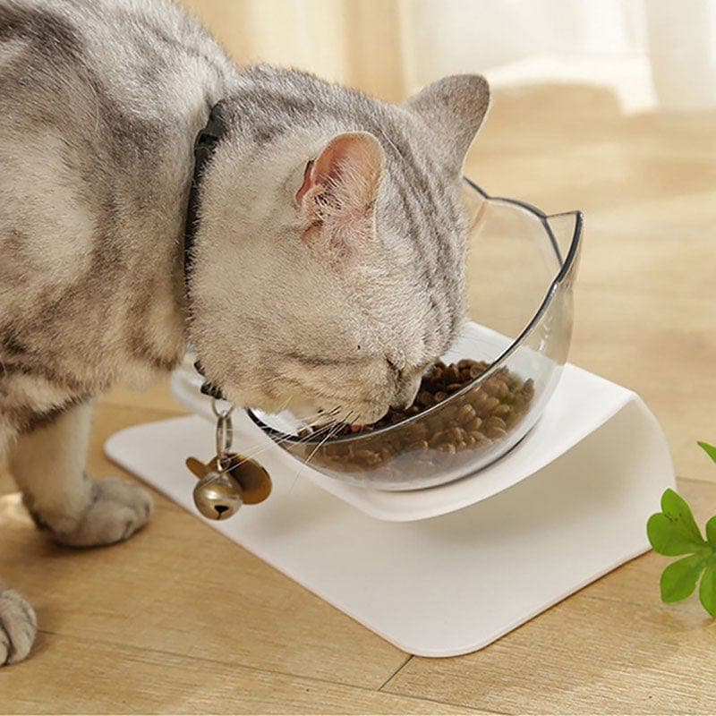 Leos paw [BUNDLE] Anti-Vomiting Orthopedic Cat Bowls + Mat