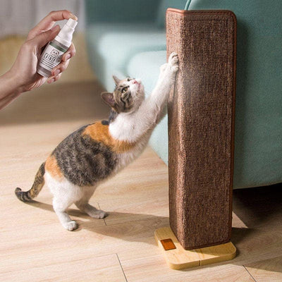 Leos paw Cat Toys Catnip Training Spray