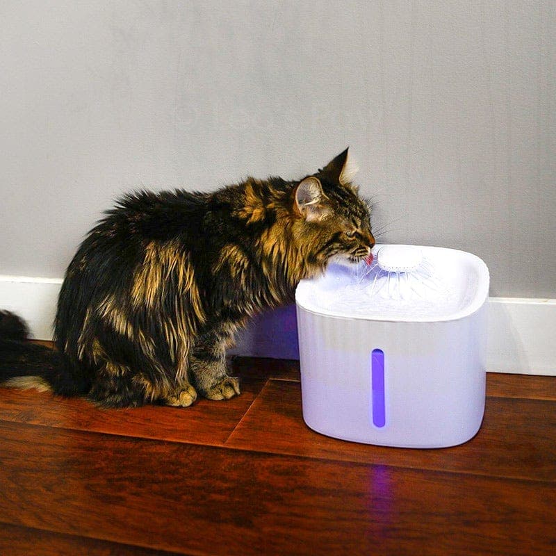 Leos paw Cat Water Fountain