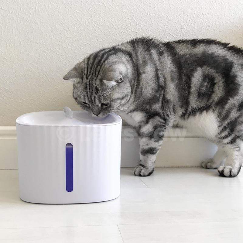 Leos paw Cat Water Fountain(New 2021)