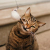 Leos paw Interactive Bird Simulation Cat Toy Set