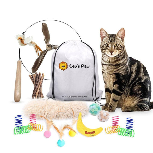 16 of the Best Cat Toys for Bored Cats – Leos paw