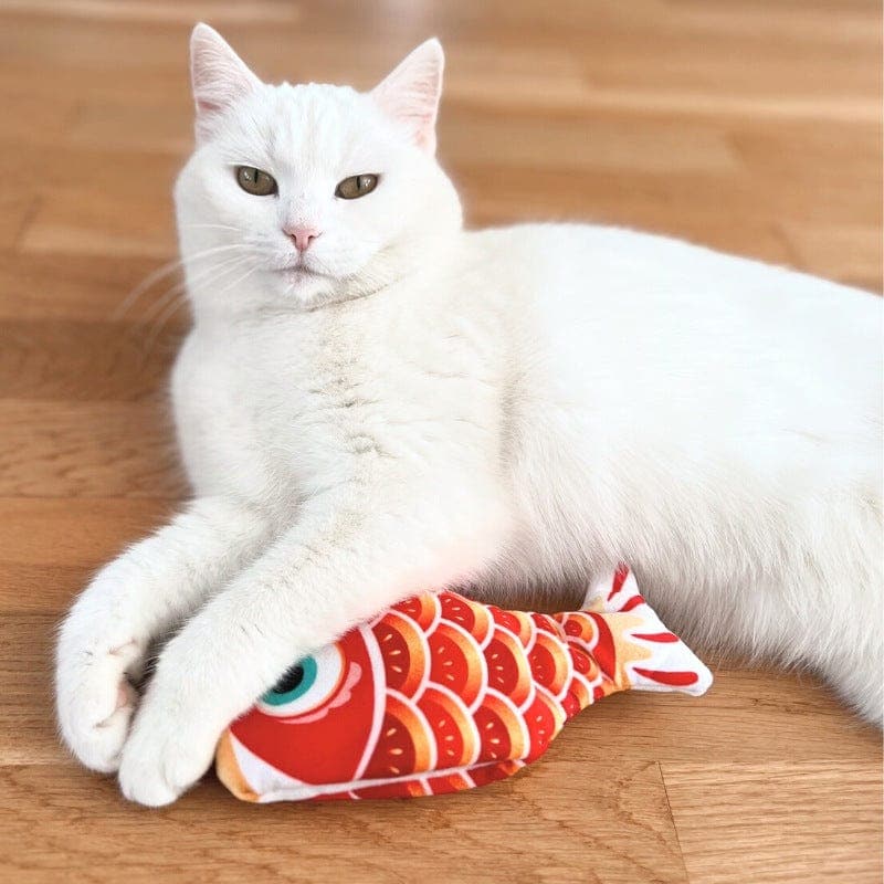 Mini Floppy Fish – Leos paw - Main Image