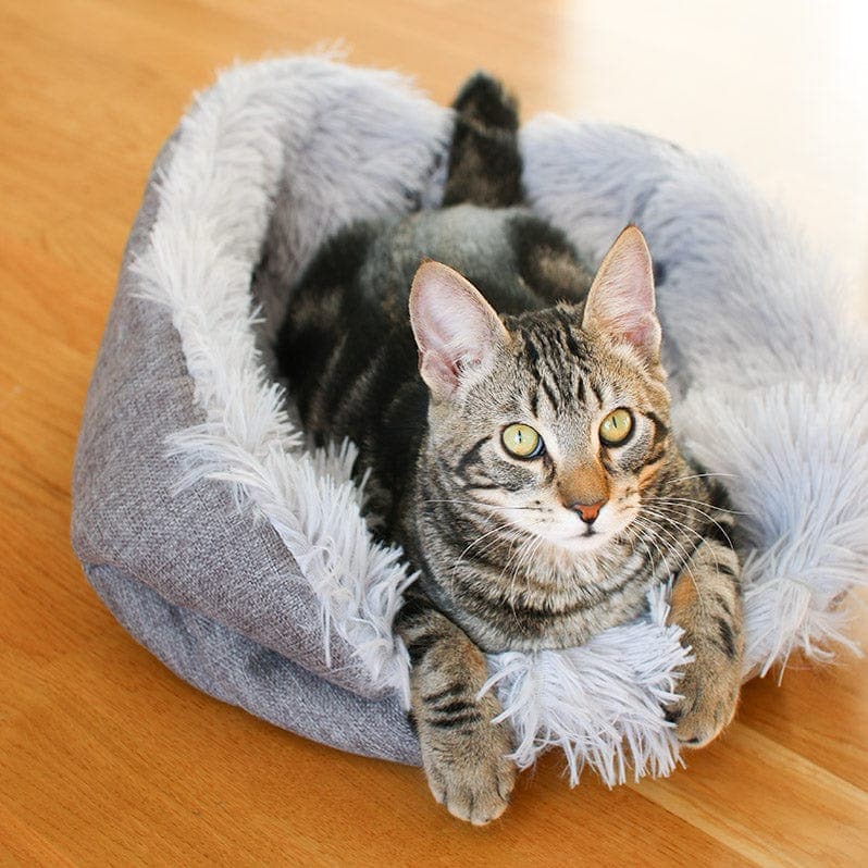 Leos paw Multi-Use Cat Bed