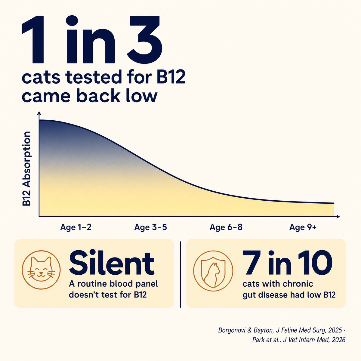 Why your cat keeps losing weight