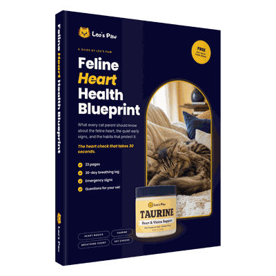 Feline Heart Health Blueprint