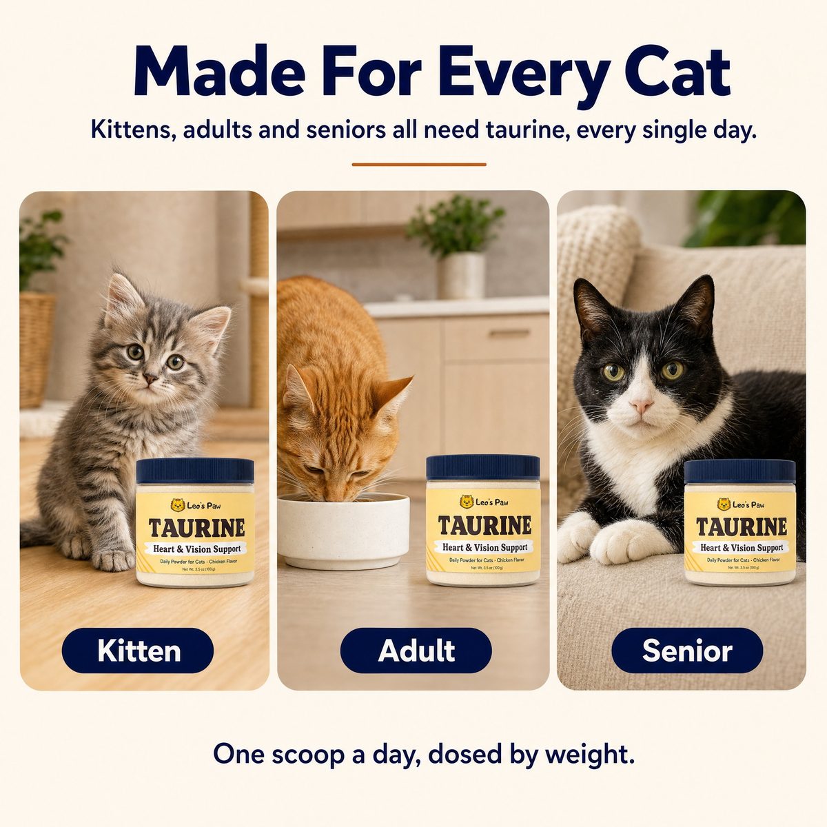 Real cats.